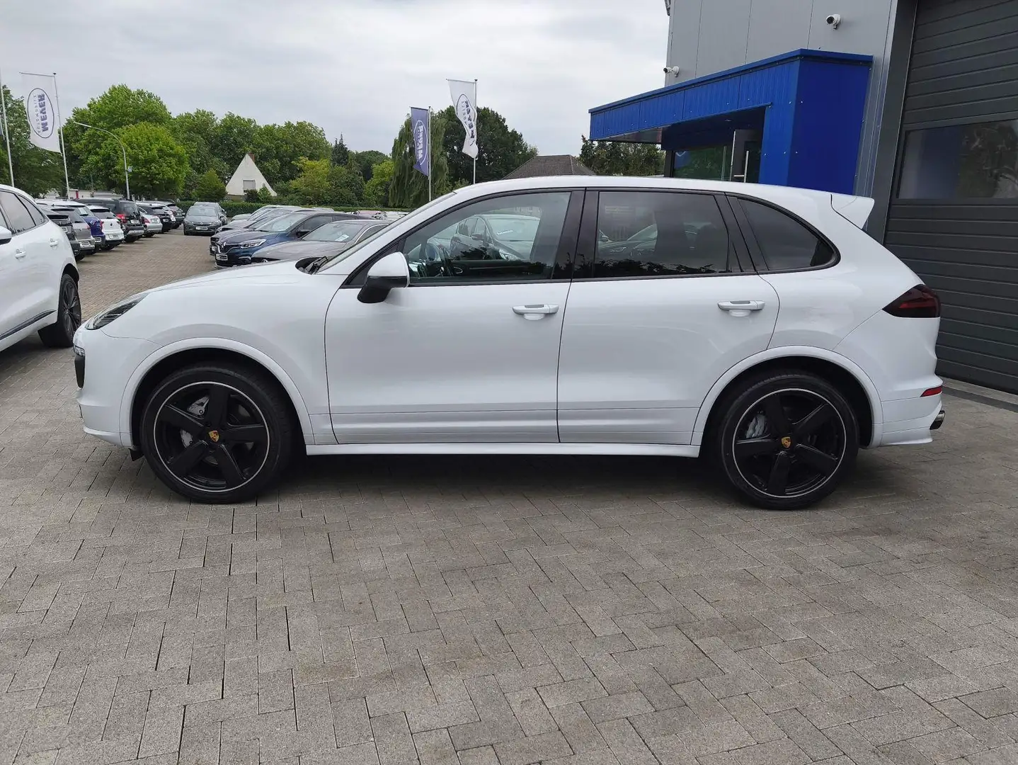 Porsche Cayenne S Platinum LED/Pano/Leder/AHK/BOSE/4xSHZ Bianco - 2