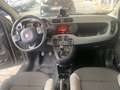 Fiat Panda 1.0 FireFly Hybrid City-Life + gpl Grigio - thumbnail 7