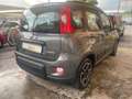 Fiat Panda 1.0 FireFly Hybrid City-Life + gpl Grigio - thumbnail 5