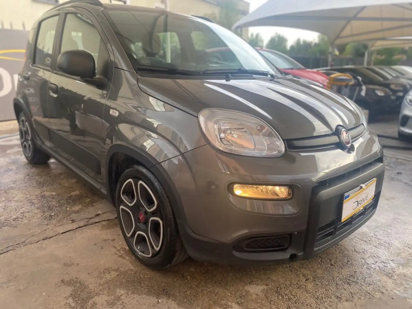 Fiat Panda 1.0 FireFly Hybrid City-Life + gpl Grigio - 2