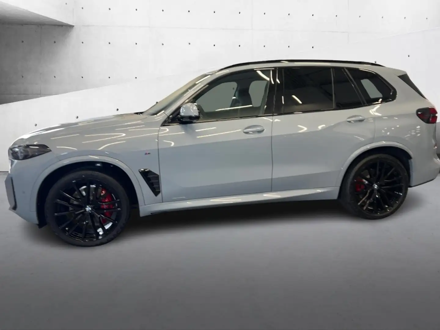 BMW X5 xDrive40d M Sport Leder Pano HUD Park-Assist AHK-k Gri - 2