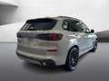 BMW X5 xDrive40d M Sport Leder Pano HUD Park-Assist AHK-k Gri - thumbnail 4