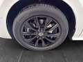 Volkswagen T7 Multivan Edition IQL 7S SHZ Kessy LRHZ ACC AK Wit - thumbnail 29