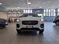 Jaguar E-Pace Hybrid Diesel AUTOCARRO IVA COMPRESA - thumbnail 2