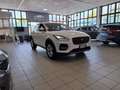 Jaguar E-Pace Hybrid Diesel AUTOCARRO IVA COMPRESA - thumbnail 3