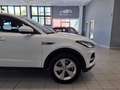 Jaguar E-Pace Hybrid Diesel AUTOCARRO IVA COMPRESA - thumbnail 7