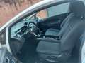 Ford Fiesta Fiesta VI 2013 3p 1.2 Plus 60cv E6 Weiß - thumbnail 9