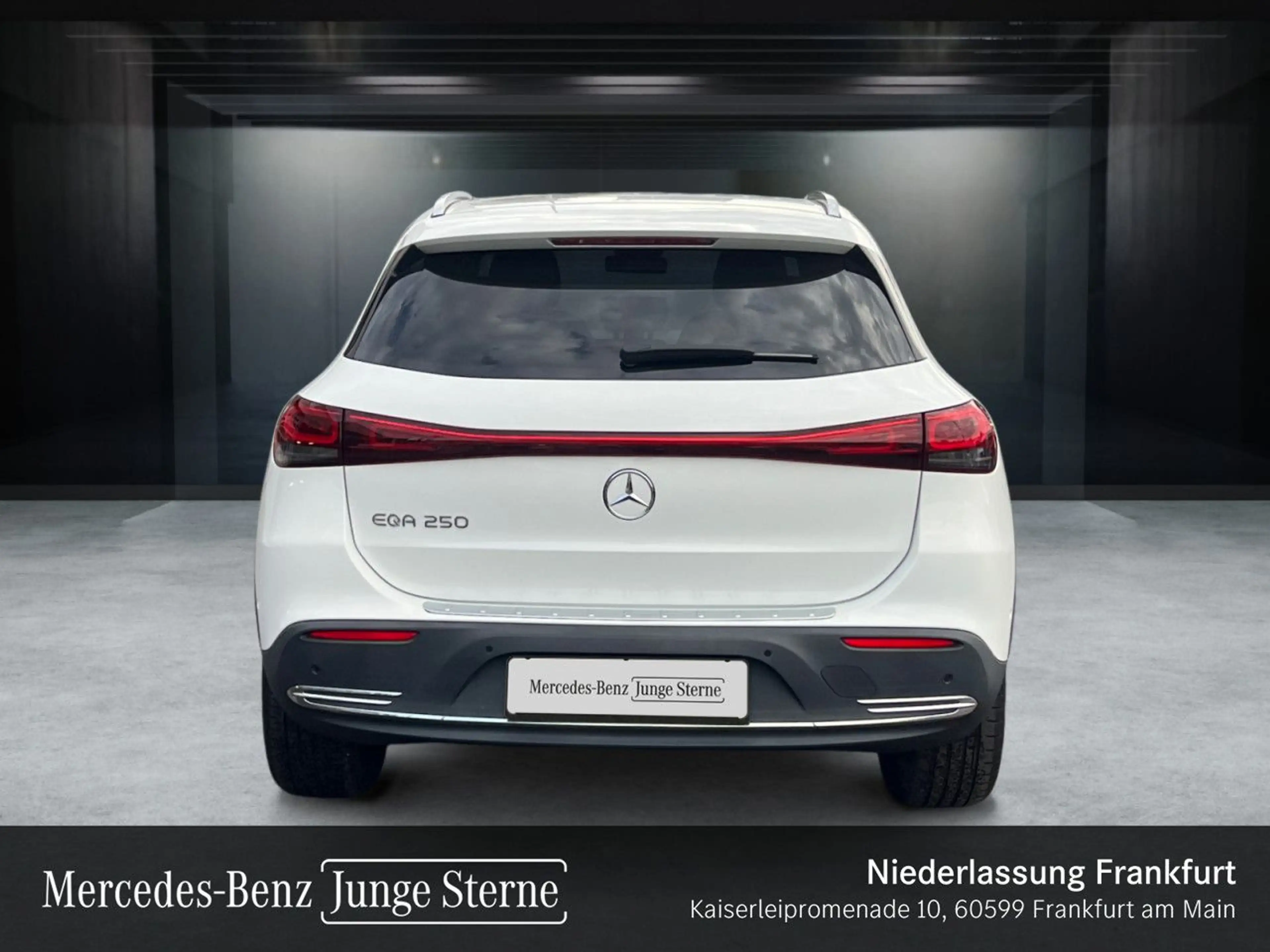 Mercedes-Benz EQA 250 PROG+PLUS-PAKET+AHK+KAMERA+EDW+KEYLESS — photo 6