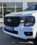 Ford Ranger Ranger Doppelkabine XLT e-4WD 2.3 EcoBoost 11.8... Weiß - thumbnail 4