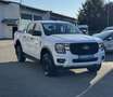 Ford Ranger Ranger Doppelkabine XLT e-4WD 2.3 EcoBoost 11.8... Weiß - thumbnail 9