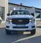 Ford Ranger Ranger Doppelkabine XLT e-4WD 2.3 EcoBoost 11.8... Weiß - thumbnail 8