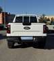 Ford Ranger Ranger Doppelkabine XLT e-4WD 2.3 EcoBoost 11.8... Weiß - thumbnail 11