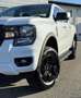 Ford Ranger Ranger Doppelkabine XLT e-4WD 2.3 EcoBoost 11.8... Weiß - thumbnail 3