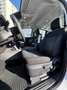 Ford Ranger Ranger Doppelkabine XLT e-4WD 2.3 EcoBoost 11.8... Weiß - thumbnail 14