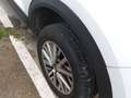 Volkswagen T-Roc 2.0TDI Edition 85kW Blanco - thumbnail 8