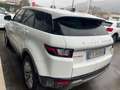 Land Rover Range Rover Evoque TD Turbina rimorosa. Bianco - thumbnail 3