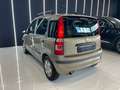 Fiat Panda 1.2 ALESSI Benzina / Metano OK NEOPATENTATI Bronzo - thumbnail 6