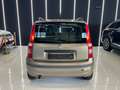 Fiat Panda 1.2 ALESSI Benzina / Metano OK NEOPATENTATI Bronzo - thumbnail 5