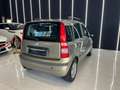 Fiat Panda 1.2 ALESSI Benzina / Metano OK NEOPATENTATI Bronzo - thumbnail 4