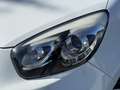 Kia Picanto 1.2 CVVT ISG Plus Pack 1e Eigenaar,Airco,Lm velgen Wit - thumbnail 20