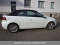 Volkswagen Golf 1.4 TSI "Cup" Cabriolet - 3.Hd./56 TKM Weiß - thumbnail 7
