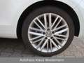 Volkswagen Golf 1.4 TSI "Cup" Cabriolet - 3.Hd./56 TKM Weiß - thumbnail 15