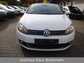 Volkswagen Golf 1.4 TSI "Cup" Cabriolet - 3.Hd./56 TKM Weiß - thumbnail 9