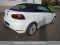Volkswagen Golf 1.4 TSI "Cup" Cabriolet - 3.Hd./56 TKM Blanc - thumbnail 6