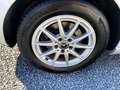 Mercedes-Benz B 200 B 200 // Ambiente // Spurhalte // Leder // Navi Grau - thumbnail 19
