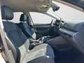 Volkswagen Golf Variant Style 1.5 TSI DSG LED-PLUS AHK REAR Grau - thumbnail 9