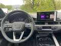 Audi A4 allroad 40 TDI AHK MATRIX STDHZ NAVI 360° Ezüst - thumbnail 6