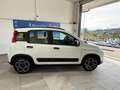 Fiat Panda 1.0 FireFly S&S Hybrid City Life Bianco - thumbnail 4