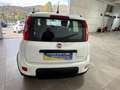 Fiat Panda 1.0 FireFly S&S Hybrid City Life Bianco - thumbnail 5