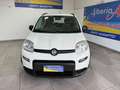 Fiat Panda 1.0 FireFly S&S Hybrid City Life Bianco - thumbnail 2