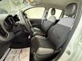 Fiat Panda 1.0 FireFly S&S Hybrid City Life Bianco - thumbnail 12