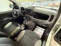 Fiat Panda 1.0 FireFly S&S Hybrid City Life Bianco - thumbnail 8