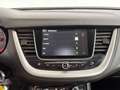 Opel Grandland X 1.2 Turbo Business Executive Grijs - thumbnail 20