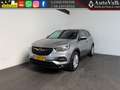 Opel Grandland X 1.2 Turbo Business Executive Grijs - thumbnail 1