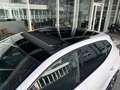 SEAT Ibiza 1.6 tdi FR 95cv TETTO APRIBILE - thumbnail 15