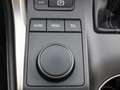 Lexus NX 300h AWD Business Line Limited | Lexus Navigatie | Park Gris - thumbnail 25