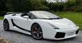 Lamborghini Gallardo Spyder 5.0i V10 40v Biały - thumbnail 8