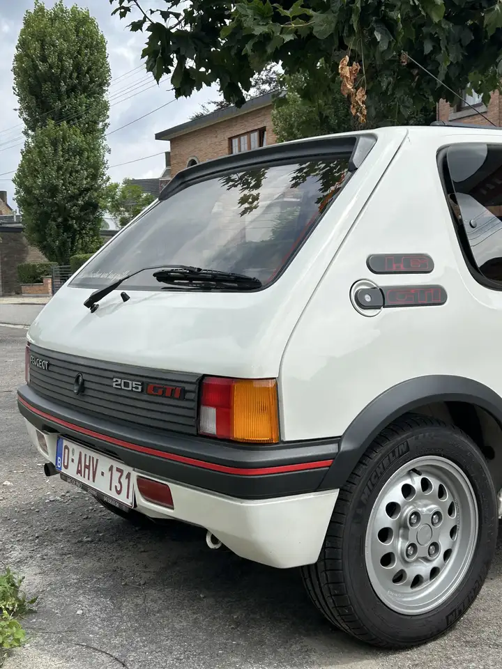 Peugeot 205 GTI, foto 1