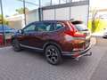 Honda CR-V 1.5 T 4WD Elegance Automatik/Anhängerkupp. Braun - thumbnail 8