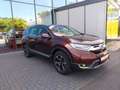 Honda CR-V 1.5 T 4WD Elegance Automatik/Anhängerkupp. Braun - thumbnail 4