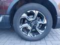 Honda CR-V 1.5 T 4WD Elegance Automatik/Anhängerkupp. Braun - thumbnail 10