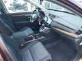 Honda CR-V 1.5 T 4WD Elegance Automatik/Anhängerkupp. Braun - thumbnail 18