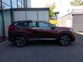 Honda CR-V 1.5 T 4WD Elegance Automatik/Anhängerkupp. Braun - thumbnail 9