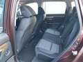 Honda CR-V 1.5 T 4WD Elegance Automatik/Anhängerkupp. Braun - thumbnail 19