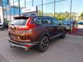 Honda CR-V 1.5 T 4WD Elegance Automatik/Anhängerkupp. Braun - thumbnail 6