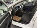 Volkswagen Golf Variant 2,0TDI Life *LED*NAVI*ACC*Sitzheizung*Virtual C... Weiß - thumbnail 11